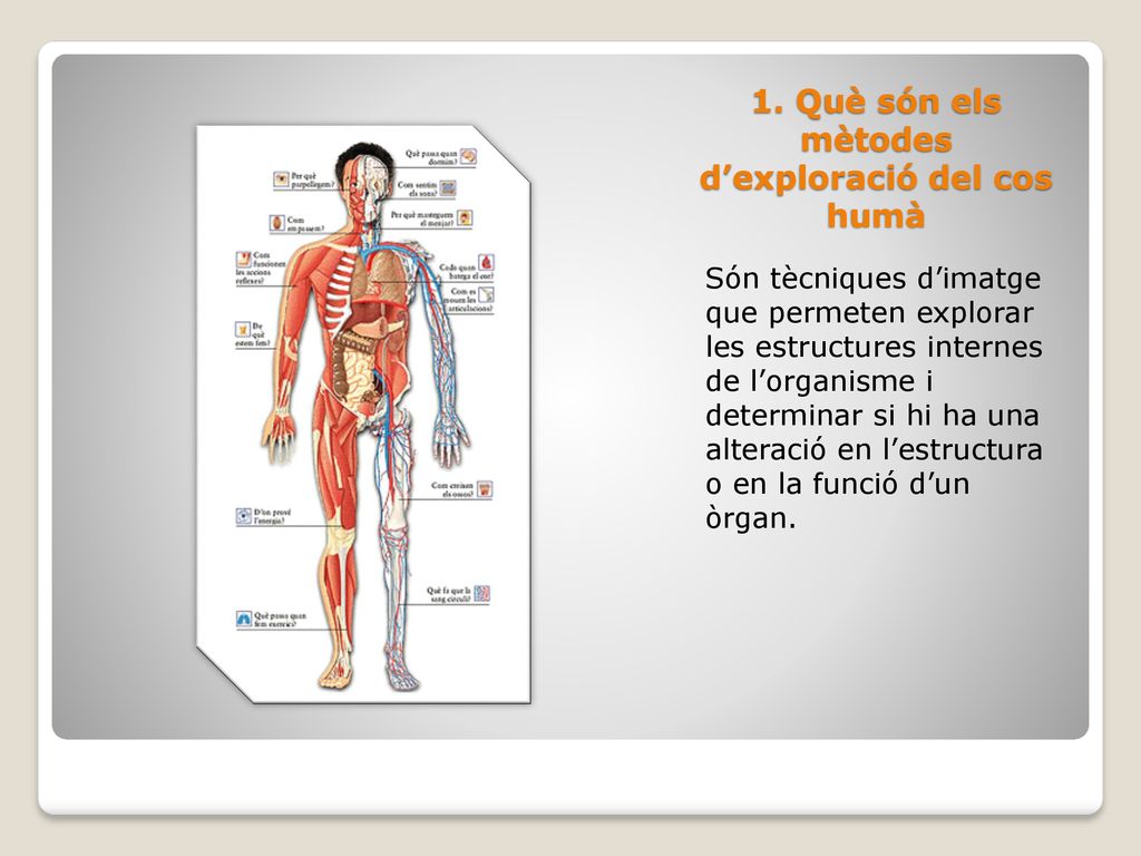1. Què són els mètodes d’exploració del cos humà