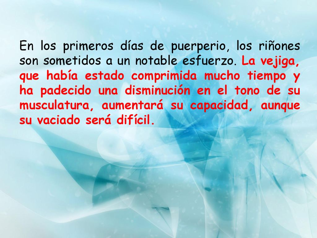 En los primeros días de puerperio, los riñones son sometidos a un notable esfuerzo.