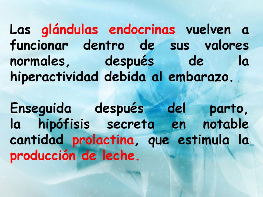 Las glándulas endocrinas vuelven a funcionar dentro de sus valores normales, después de la hiperactividad debida al embarazo.