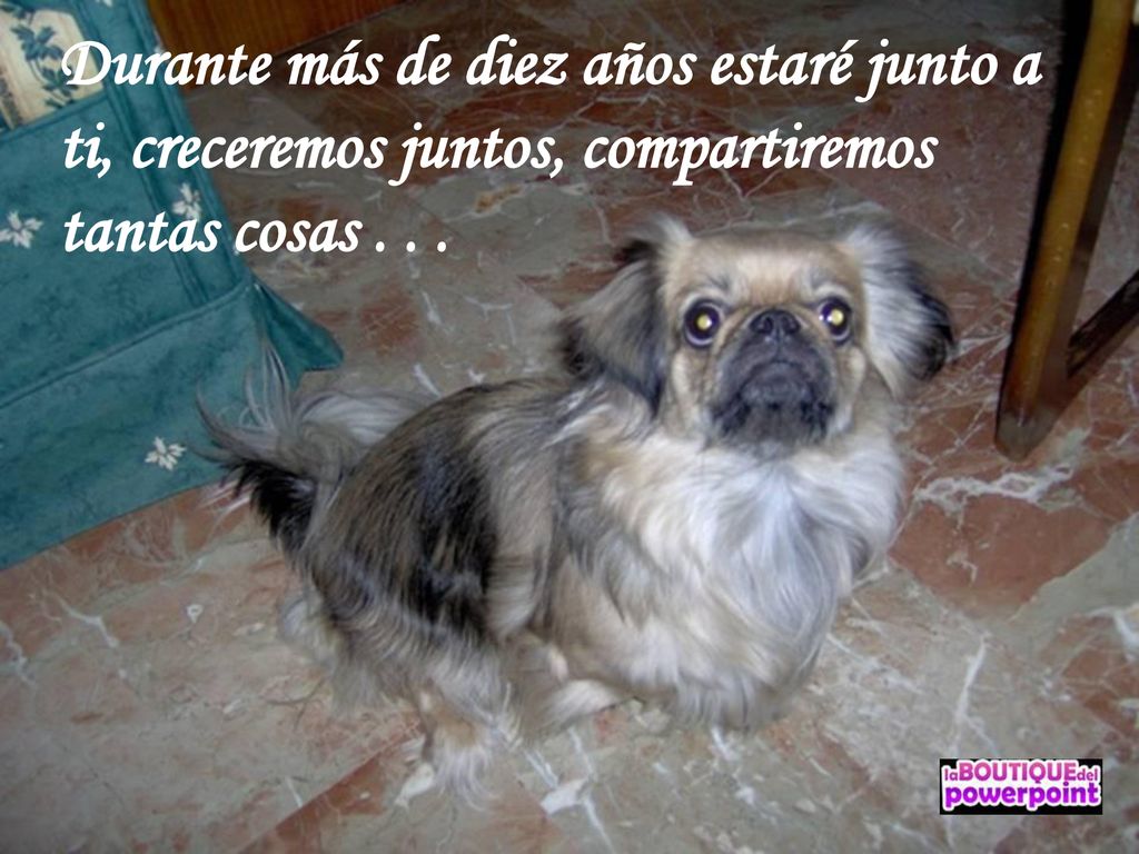 Durante más de diez años estaré junto a ti, creceremos juntos, compartiremos tantas cosas . . .