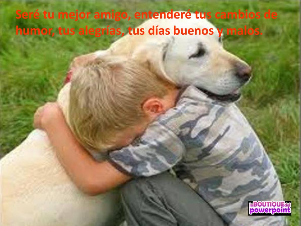 Seré tu mejor amigo, entenderé tus cambios de humor, tus alegrías, tus días buenos y malos.
