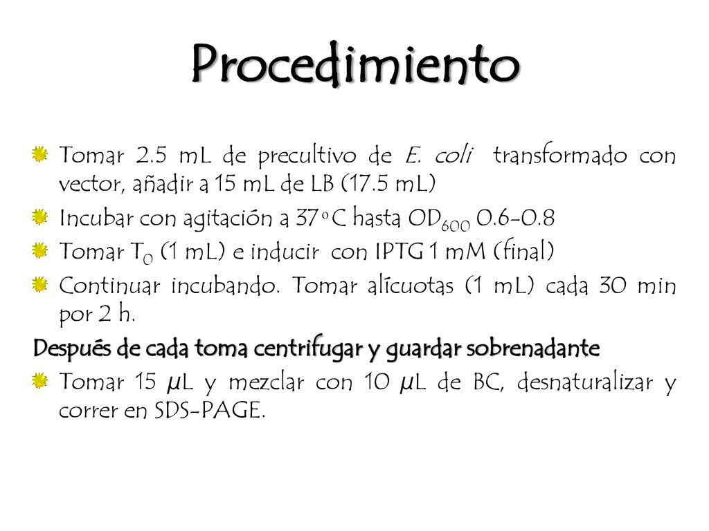 Procedimiento Tomar 2.5 mL de precultivo de E. coli transformado con vector, añadir a 15 mL de LB (17.5 mL)