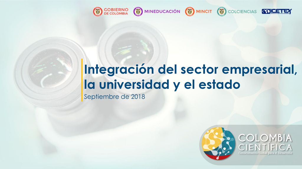 Integración del sector empresarial, la universidad y el estado