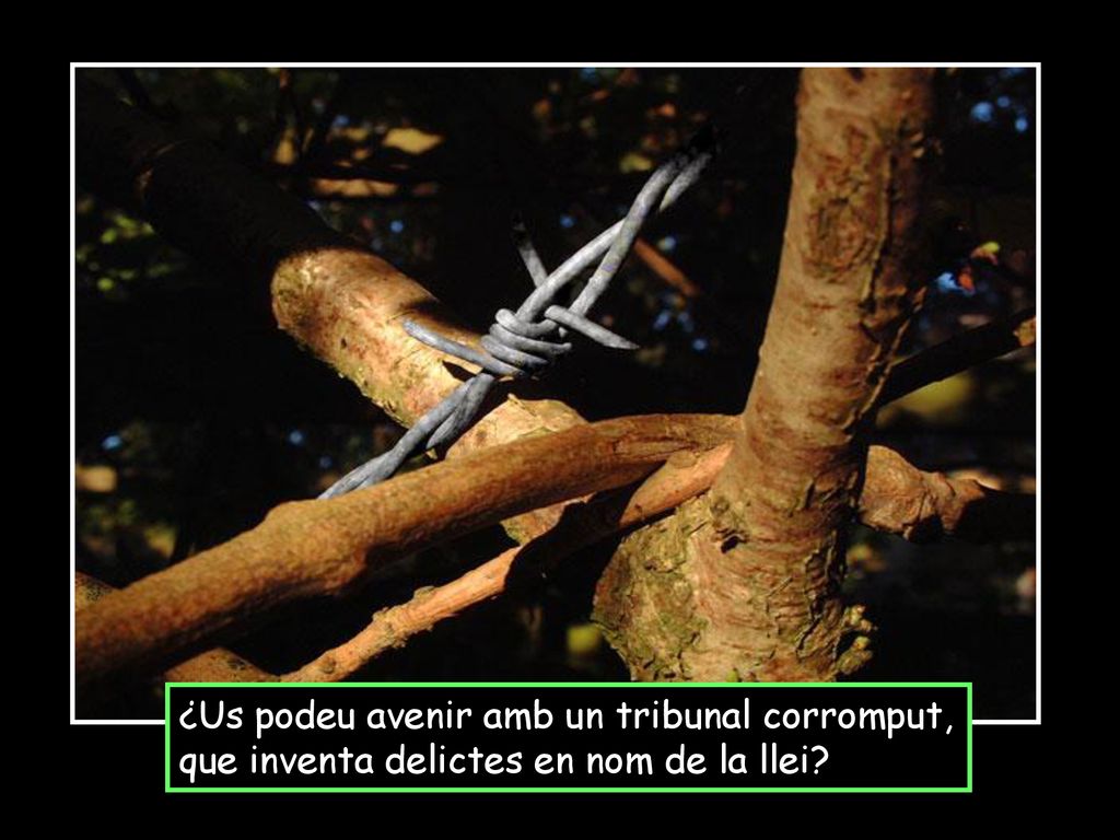 ¿Us podeu avenir amb un tribunal corromput,