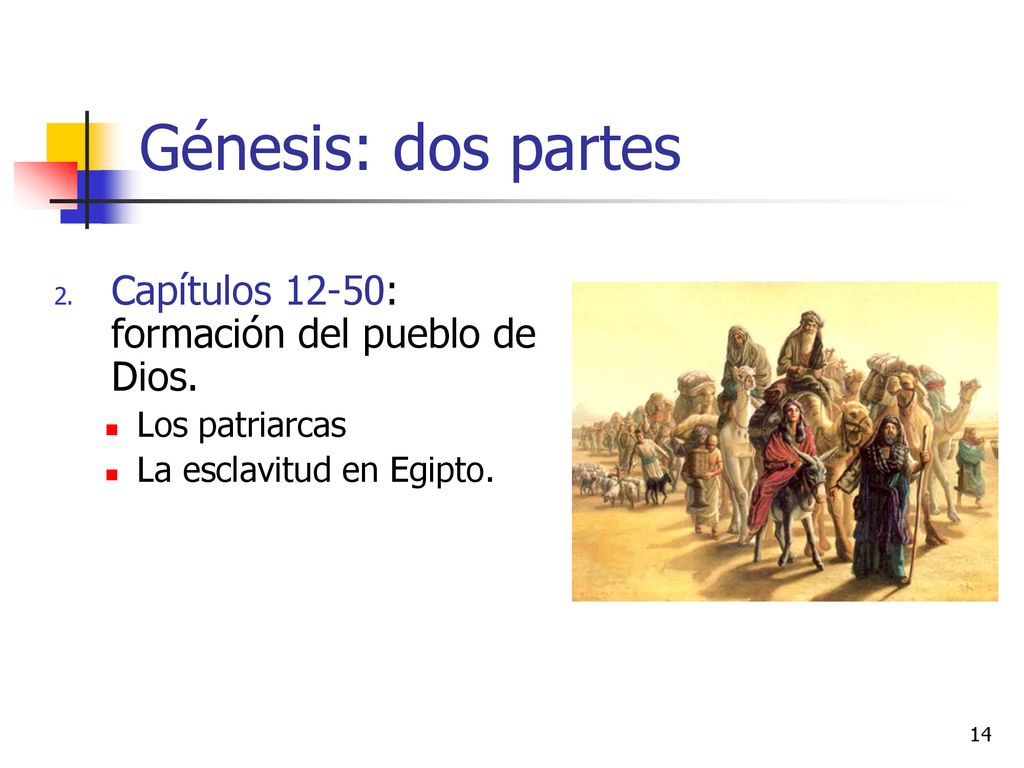 Génesis: dos partes Capítulos 12-50: formación del pueblo de Dios.
