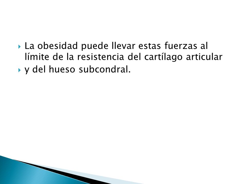La obesidad puede llevar estas fuerzas al límite de la resistencia del cartílago articular