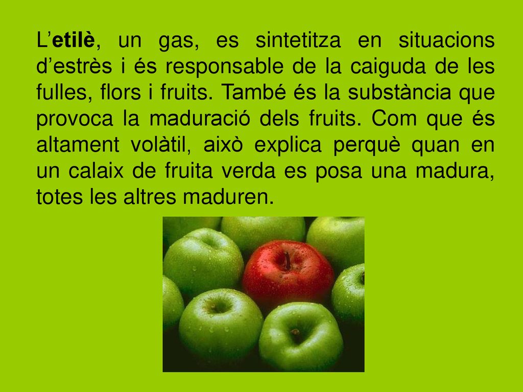 L’etilè, un gas, es sintetitza en situacions d’estrès i és responsable de la caiguda de les fulles, flors i fruits.