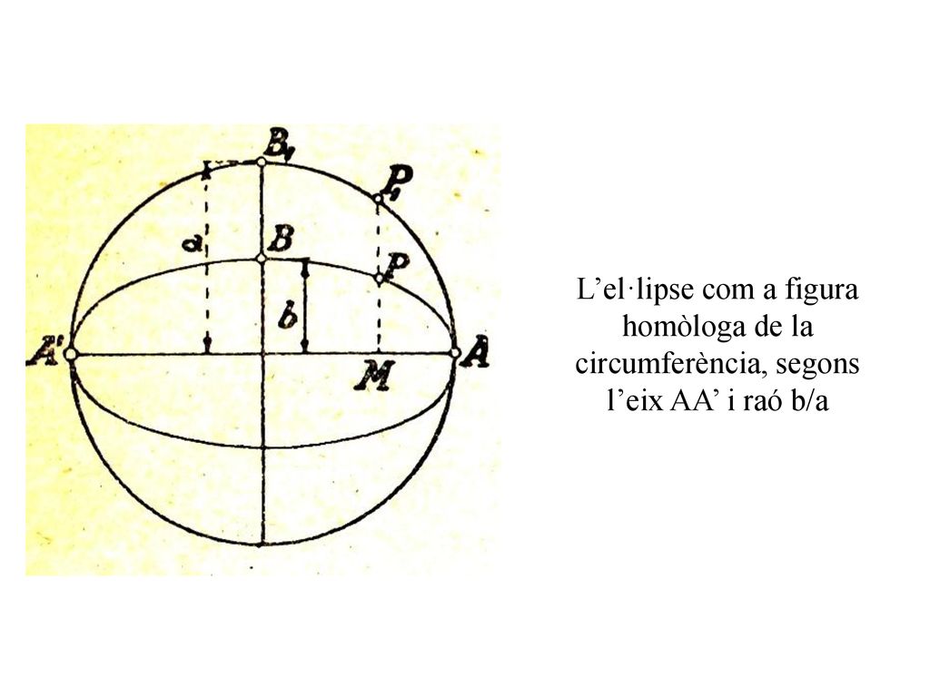 L’el·lipse com a figura homòloga de la circumferència, segons l’eix AA’ i raó b/a