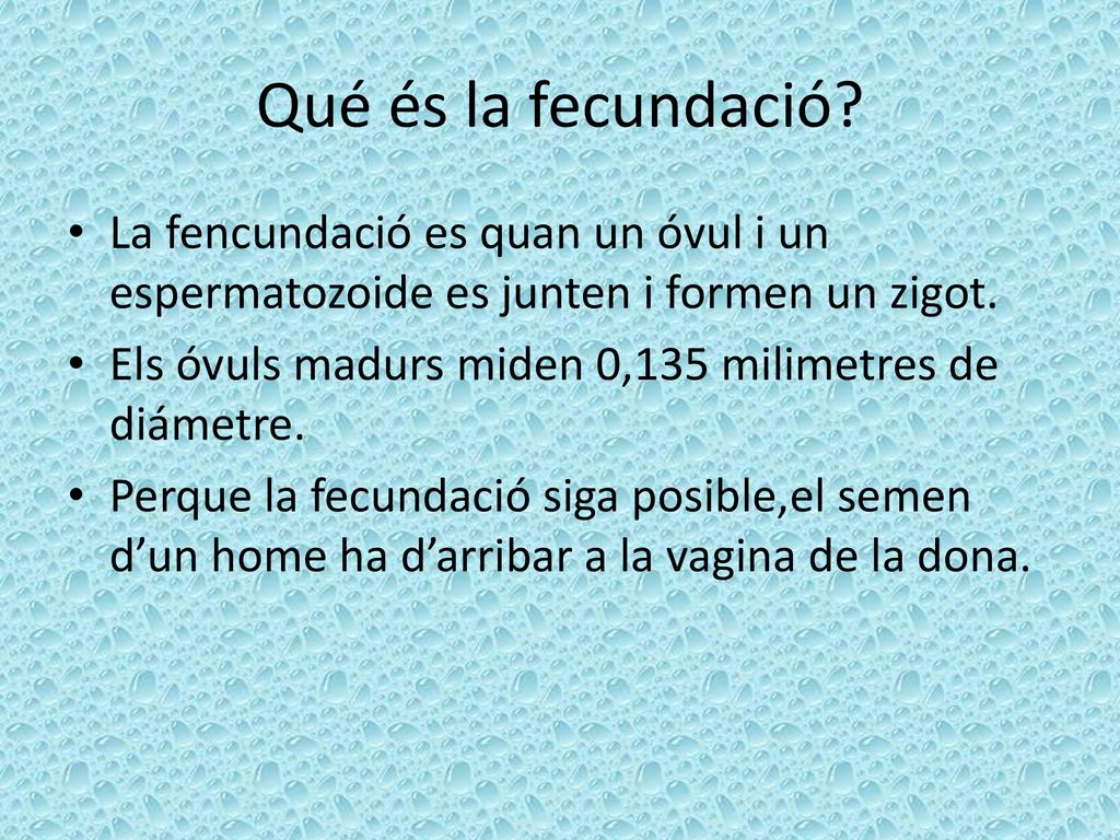 Qué és la fecundació La fencundació es quan un óvul i un espermatozoide es junten i formen un zigot.