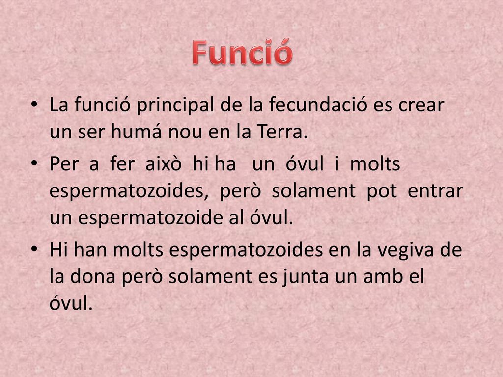 Funció La funció principal de la fecundació es crear un ser humá nou en la Terra.
