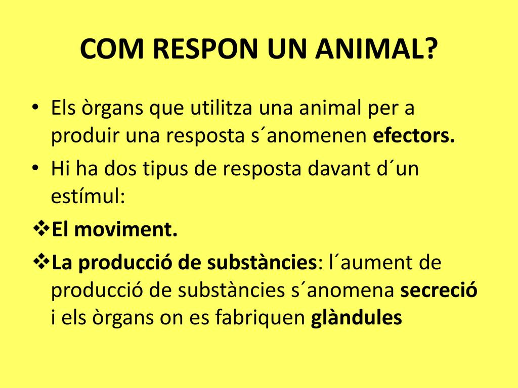 COM RESPON UN ANIMAL Els òrgans que utilitza una animal per a produir una resposta s´anomenen efectors.