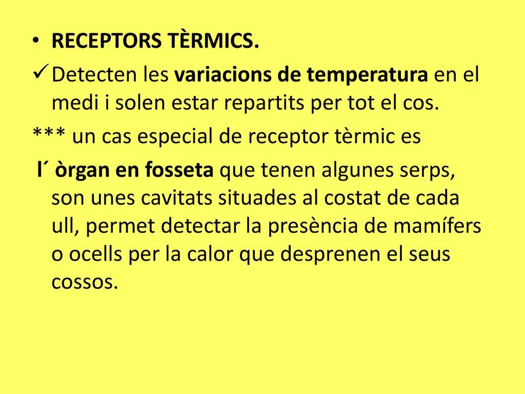 RECEPTORS TÈRMICS. Detecten les variacions de temperatura en el medi i solen estar repartits per tot el cos.