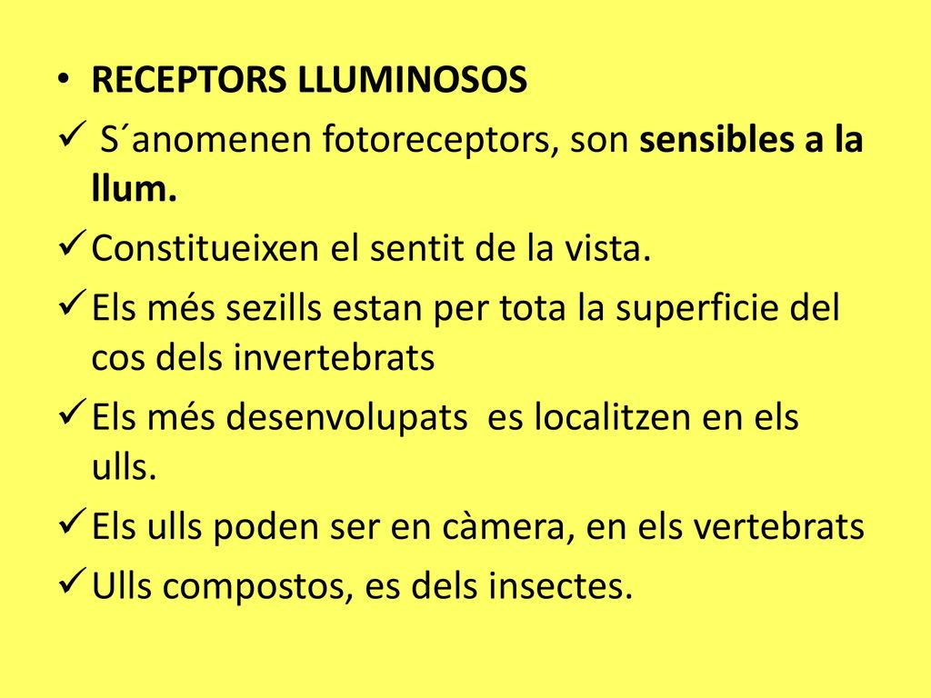 RECEPTORS LLUMINOSOS S´anomenen fotoreceptors, son sensibles a la llum. Constitueixen el sentit de la vista.