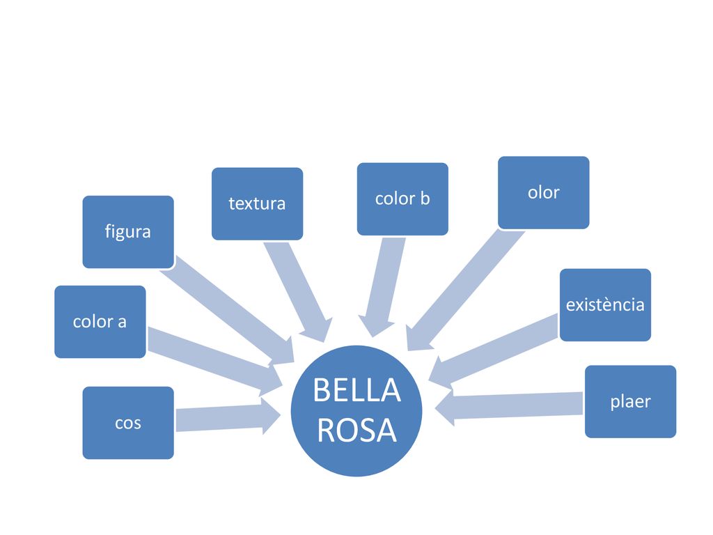 BELLA ROSA color a textura figura cos olor color b existència plaer