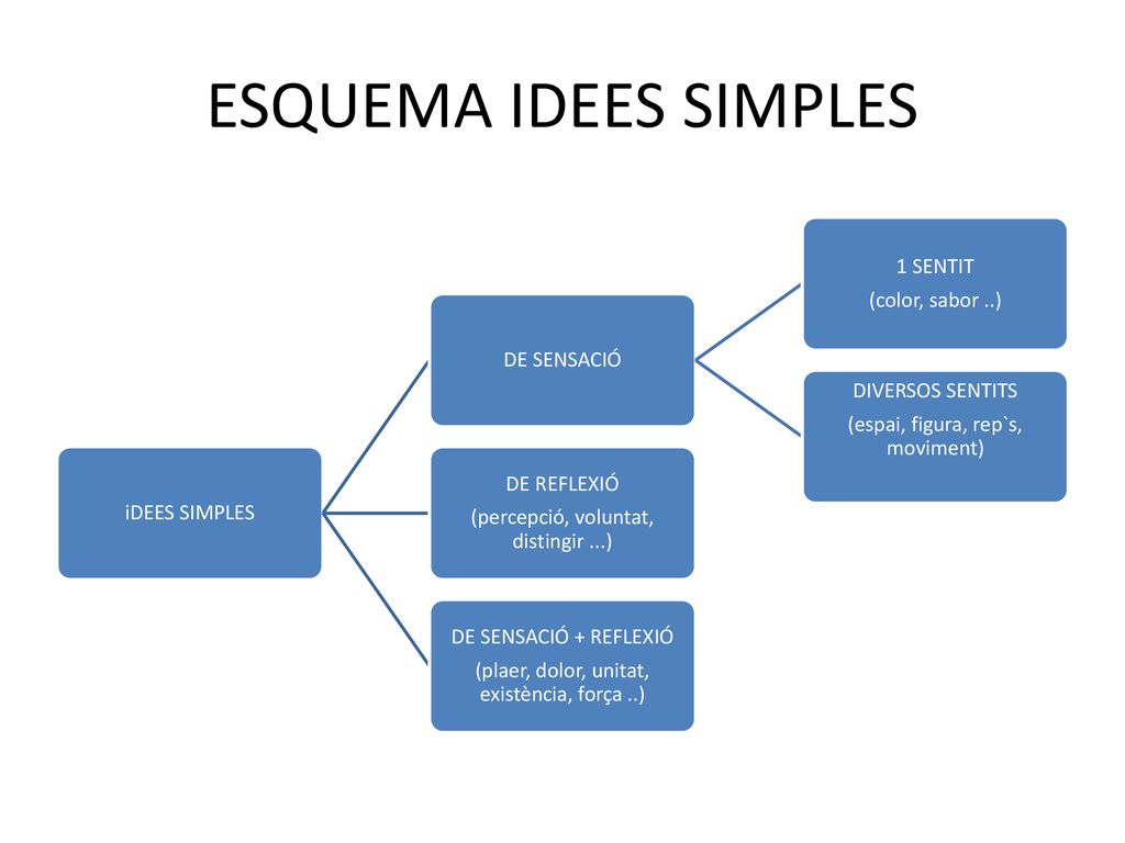 ESQUEMA IDEES SIMPLES 1 SENTIT (color, sabor ..) DE SENSACIÓ