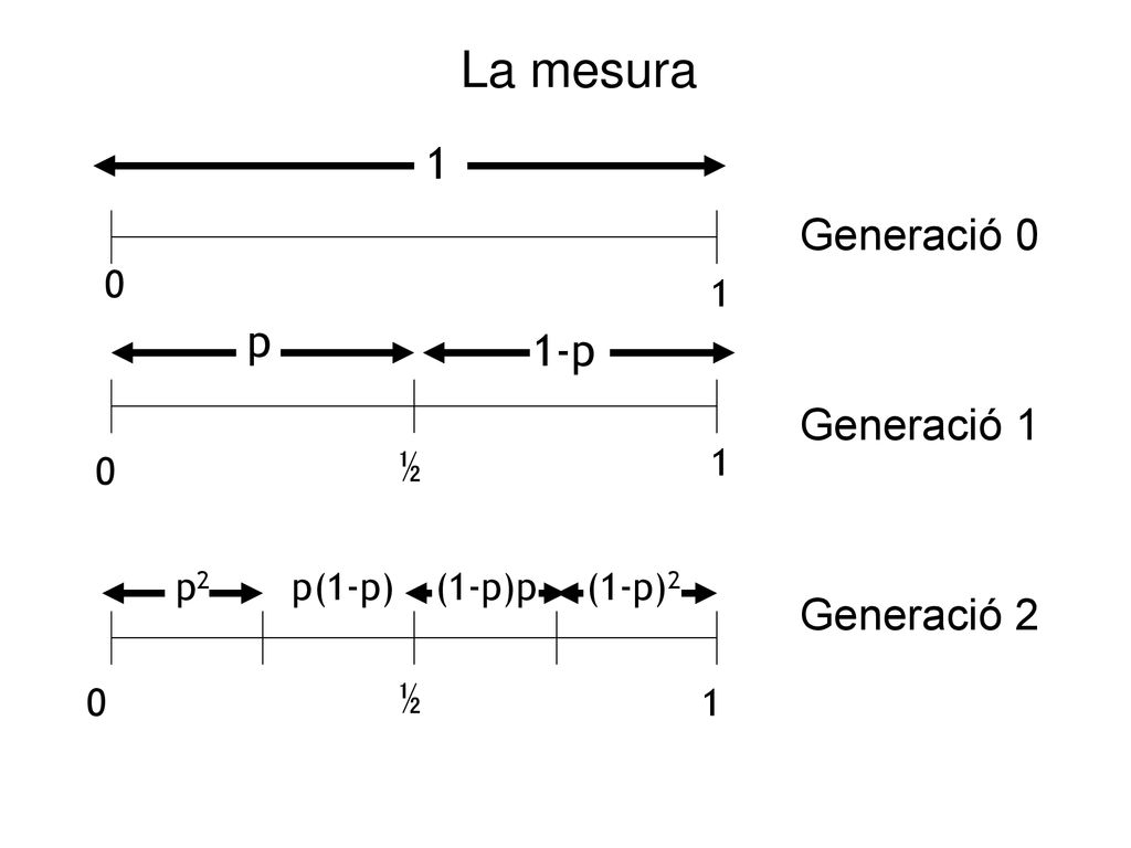 La mesura 1 Generació 0 Generació 1 p 1-p Generació 2 ½ ½ 1 1 p2