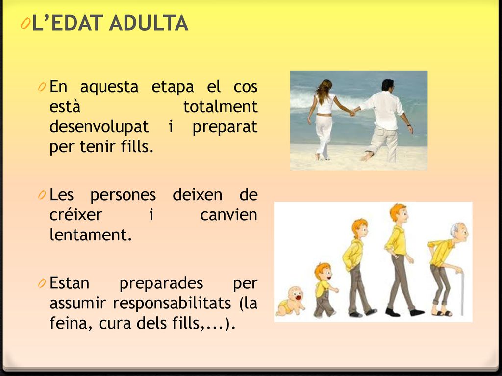 L’EDAT ADULTA En aquesta etapa el cos està totalment desenvolupat i preparat per tenir fills. Les persones deixen de créixer i canvien lentament.