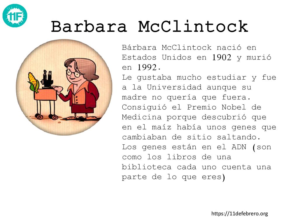 Barbara McClintock Bárbara McClintock nació en Estados Unidos en 1902 y murió en