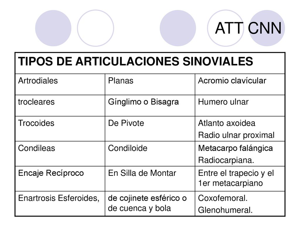 ATT CNN TIPOS DE ARTICULACIONES SINOVIALES Artrodiales Planas