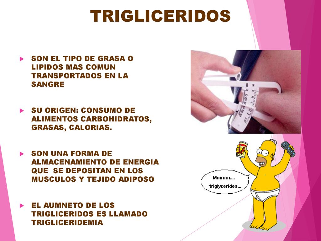 TRIGLICERIDOS SON EL TIPO DE GRASA O LIPIDOS MAS COMUN TRANSPORTADOS EN LA SANGRE.