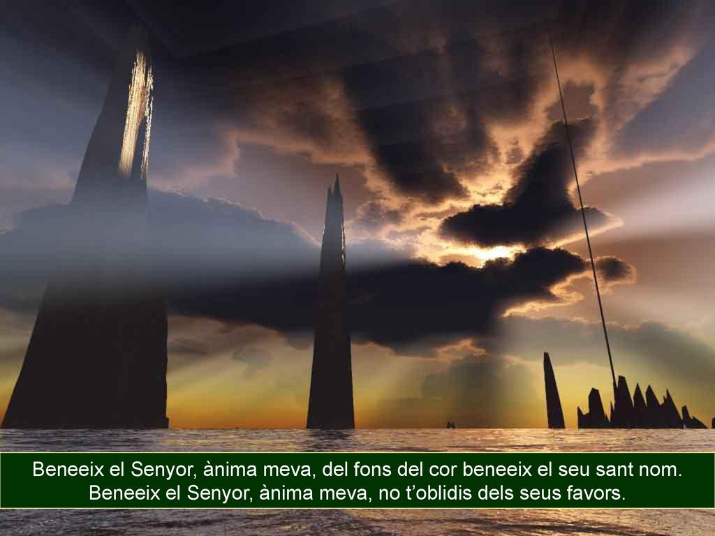Beneeix el Senyor, ànima meva, no t’oblidis dels seus favors.