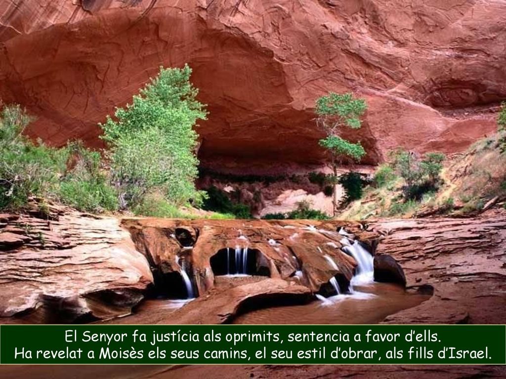 El Senyor fa justícia als oprimits, sentencia a favor d’ells.