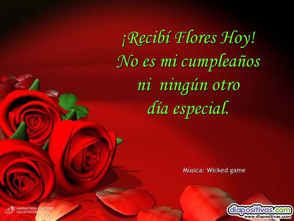 ¡Recibí Flores Hoy! No es mi cumpleaños ni ningún otro día especial.