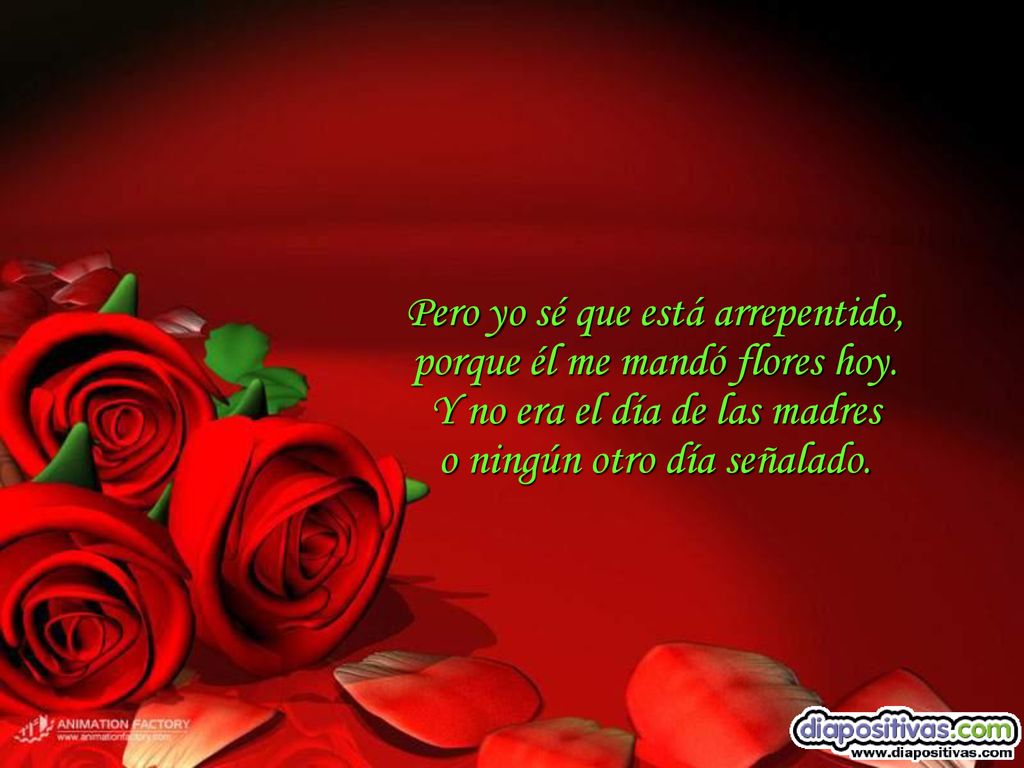 Pero yo sé que está arrepentido, porque él me mandó flores hoy.