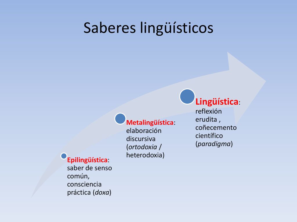 Saberes lingüísticos Epilingüística: saber de senso común, consciencia práctica (doxa)
