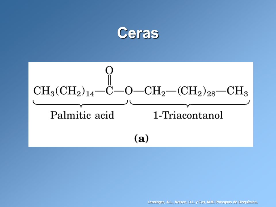 Ceras Lehninger, A.L., Nelson, D.L. y Cox, M.M. Principios de Bioquímica.
