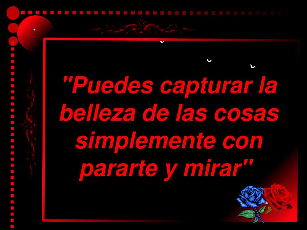 Puedes capturar la belleza de las cosas simplemente con pararte y mirar