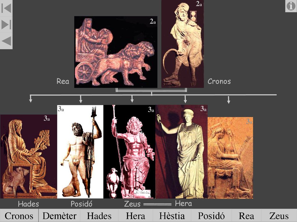 Cronos Demèter Hades Hera Hèstia Posidó Rea Zeus 2a 2a Rea Cronos 3a