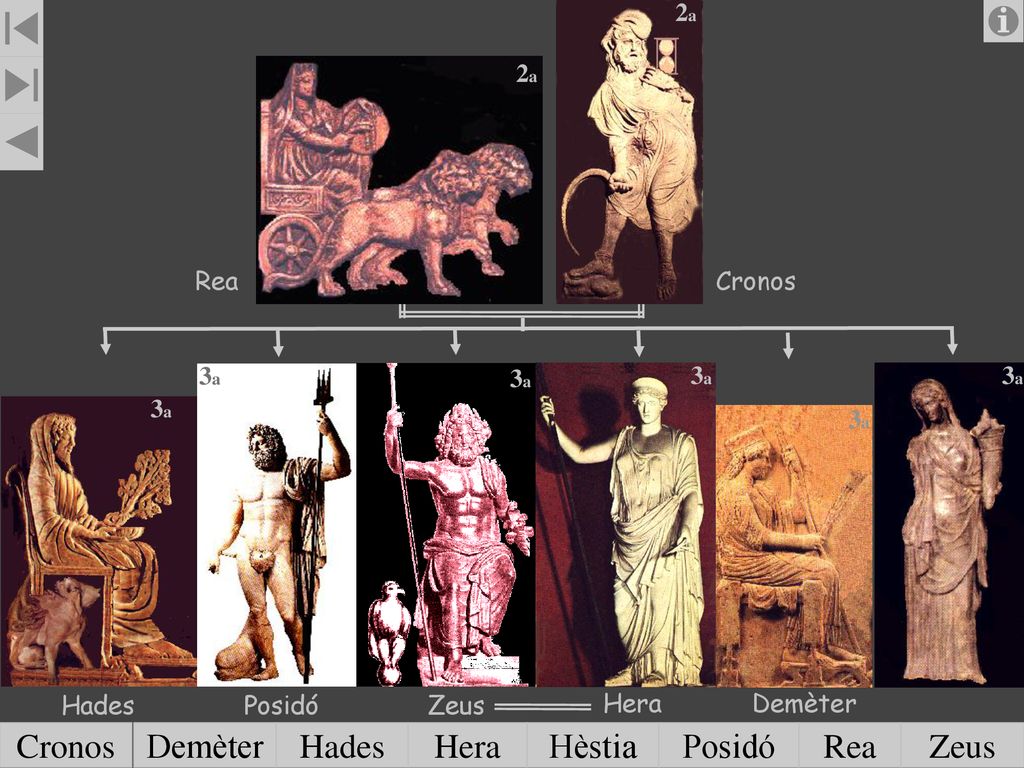 Cronos Demèter Hades Hera Hèstia Posidó Rea Zeus 2a 2a Rea Cronos 3a