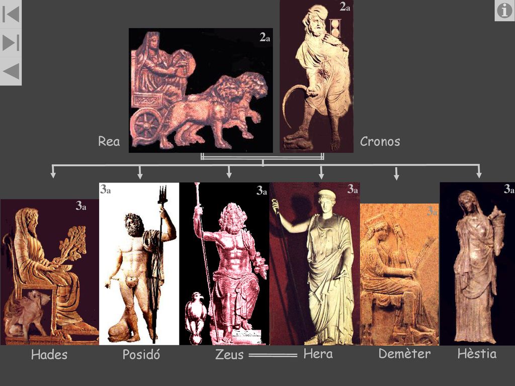 2a 2a Rea Cronos 3a 3a 3a 3a 3a 3a Hades Posidó Zeus Hera Demèter Hèstia