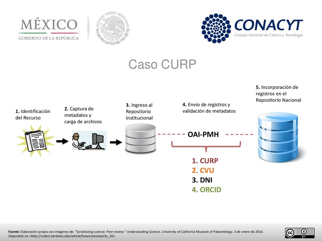 Caso CURP OAI-PMH 1. CURP 2. CVU 3. DNI 4. ORCID