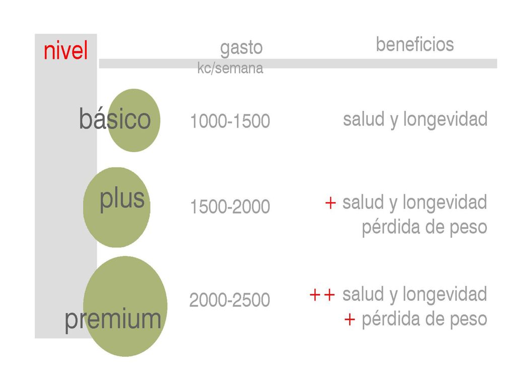kc al mes en actividades aeróbicas suponen una pérdida de 1kg de grasa