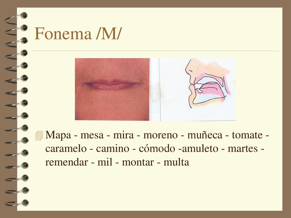 Fonema /M/ Mapa - mesa - mira - moreno - muñeca - tomate - caramelo - camino - cómodo -amuleto - martes - remendar - mil - montar - multa.