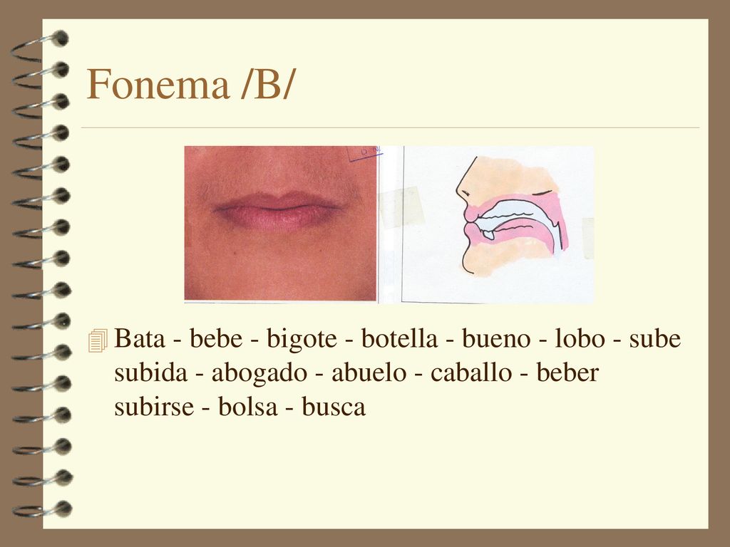 Fonema /B/ Bata - bebe - bigote - botella - bueno - lobo - sube subida - abogado - abuelo - caballo - beber subirse - bolsa - busca.