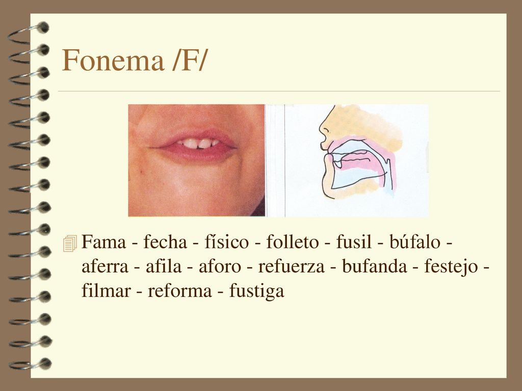 Fonema /F/ Fama - fecha - físico - folleto - fusil - búfalo - aferra - afila - aforo - refuerza - bufanda - festejo - filmar - reforma - fustiga.