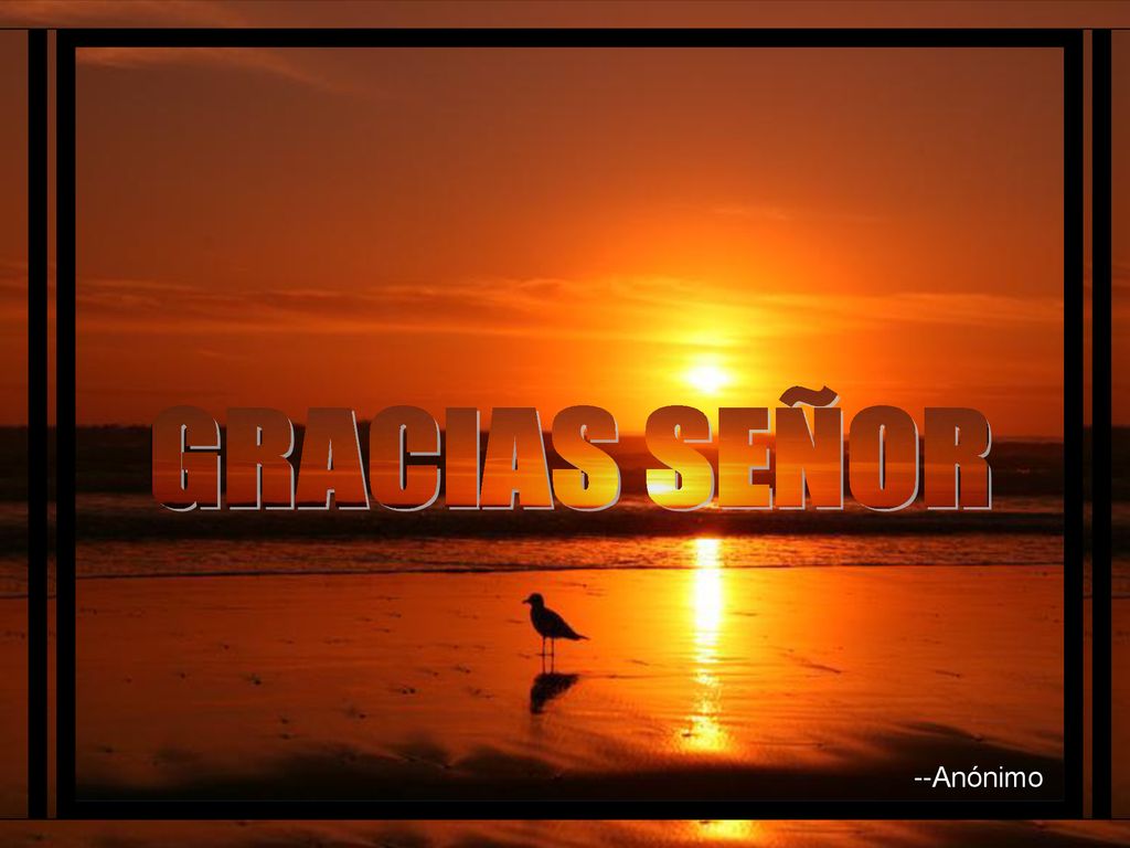 Tommy s Window Slideshow GRACIAS SEÑOR ♫ Enciende los parlantes