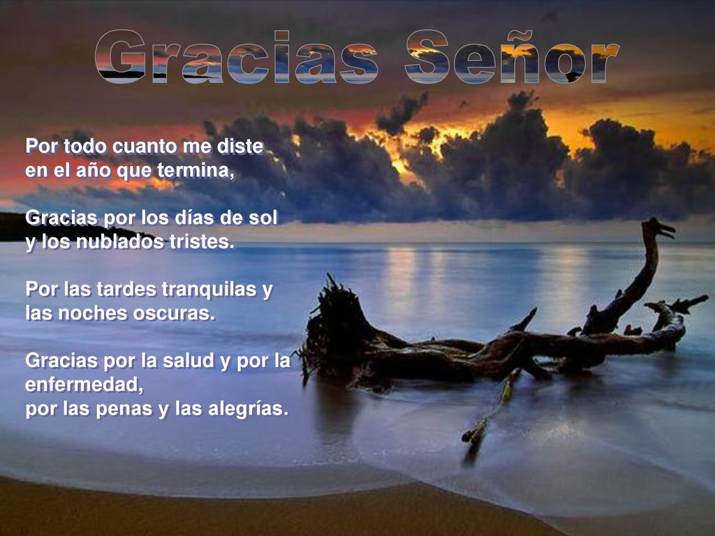 Gracias Señor Por todo cuanto me diste en el año que termina,