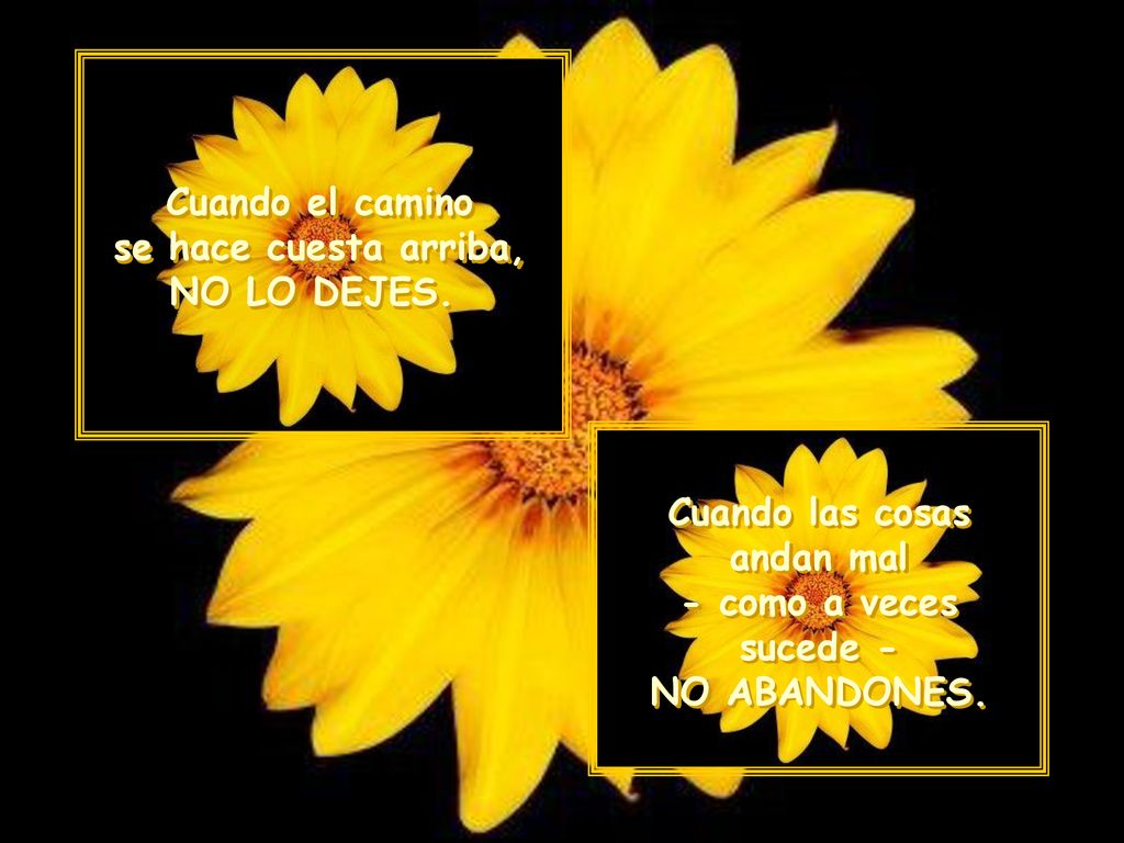 Cuando el camino se hace cuesta arriba, NO LO DEJES.