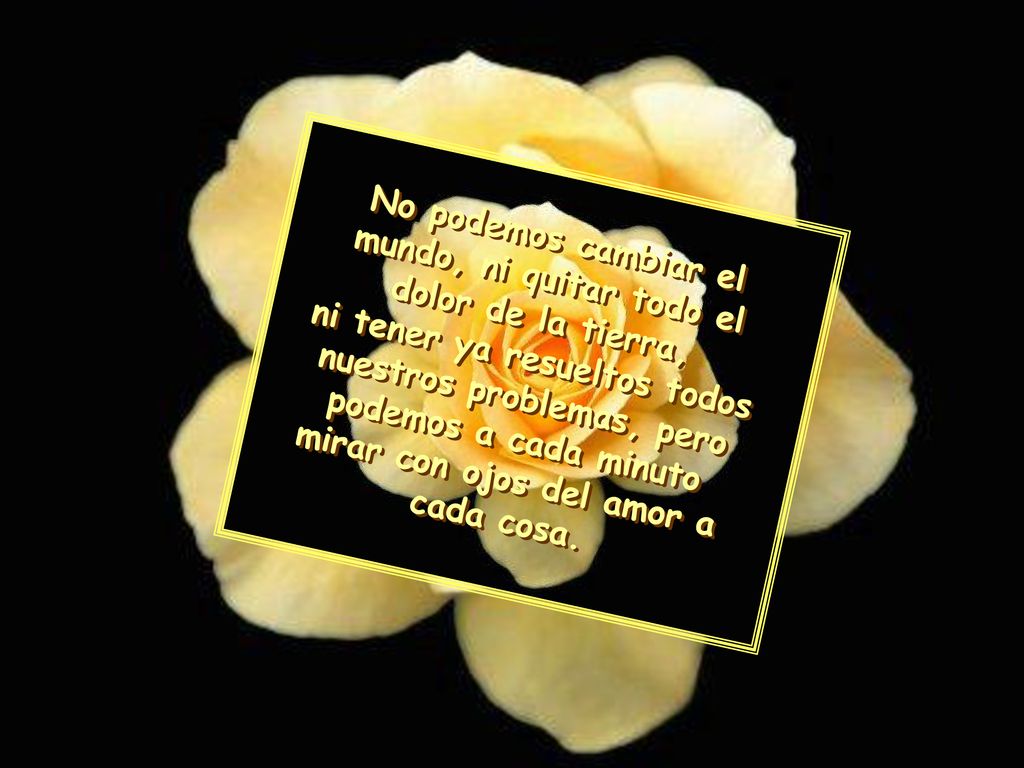 No podemos cambiar el mundo, ni quitar todo el dolor de la tierra, ni tener ya resueltos todos nuestros problemas, pero podemos a cada minuto mirar con ojos del amor a cada cosa.