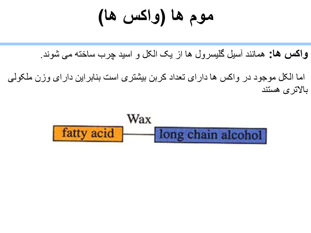 موم ها (واکس ها) واکس ها: همانند آسیل گلیسرول ها از یک الکل و اسید چرب ساخته می شوند.