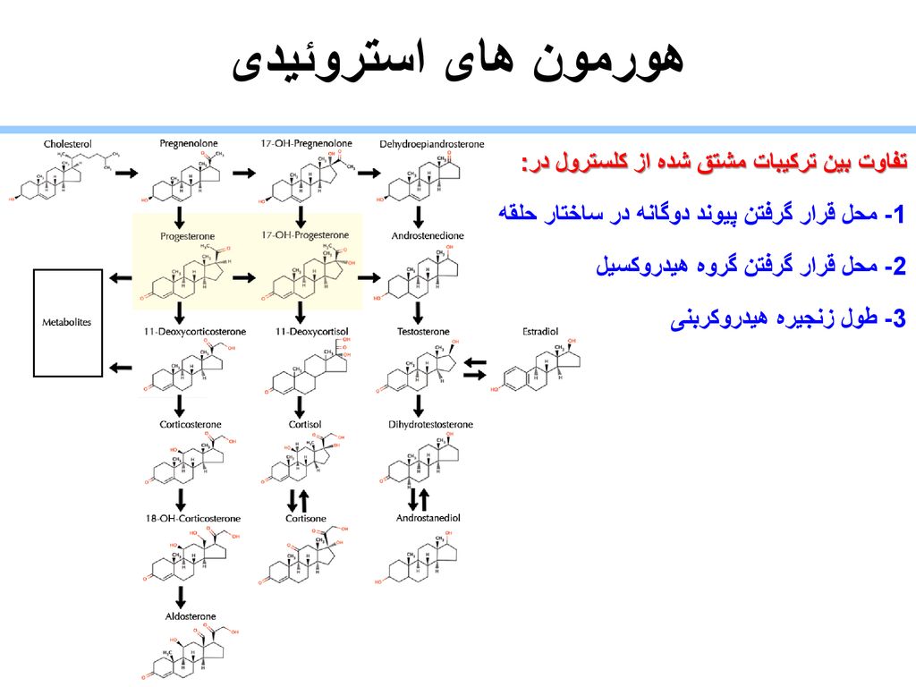 هورمون های استروئیدی تفاوت بین ترکیبات مشتق شده از کلسترول در: