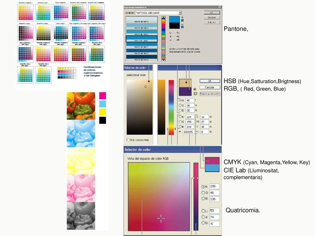 Pantone, HSB (Hue,Satturation,Brigtness) RGB, ( Red, Green, Blue) CMYK (Cyan, Magenta,Yellow, Key) CIE Lab (Lluminositat, complementaris) Quatricomia.