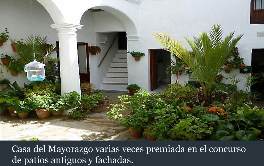 Casa del Mayorazgo varias veces premiada en el concurso de patios antiguos y fachadas.