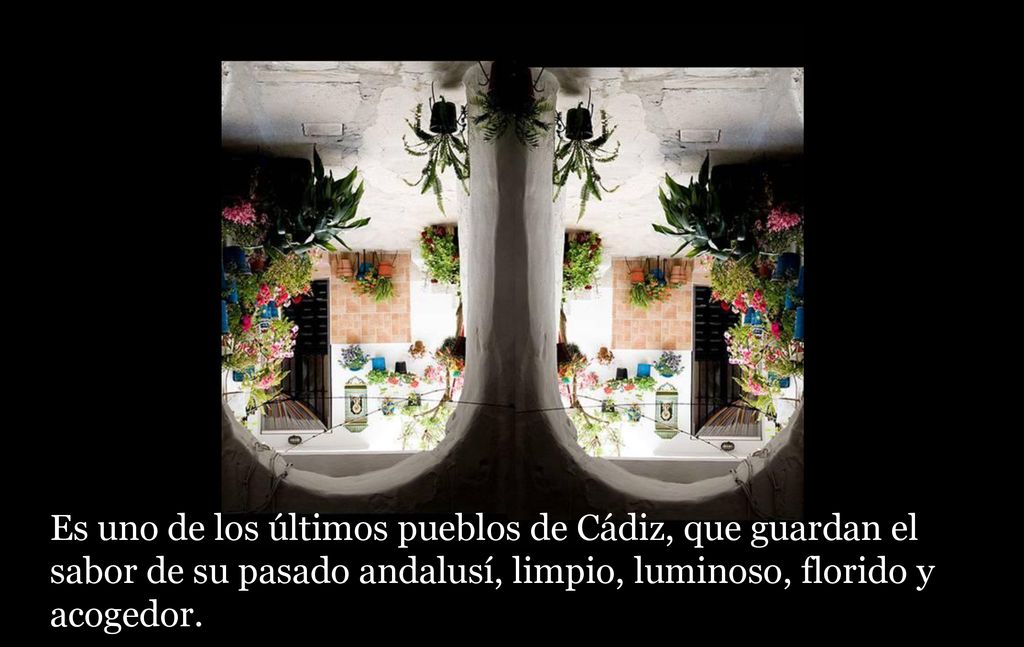 Es uno de los últimos pueblos de Cádiz, que guardan el sabor de su pasado andalusí, limpio, luminoso, florido y acogedor.