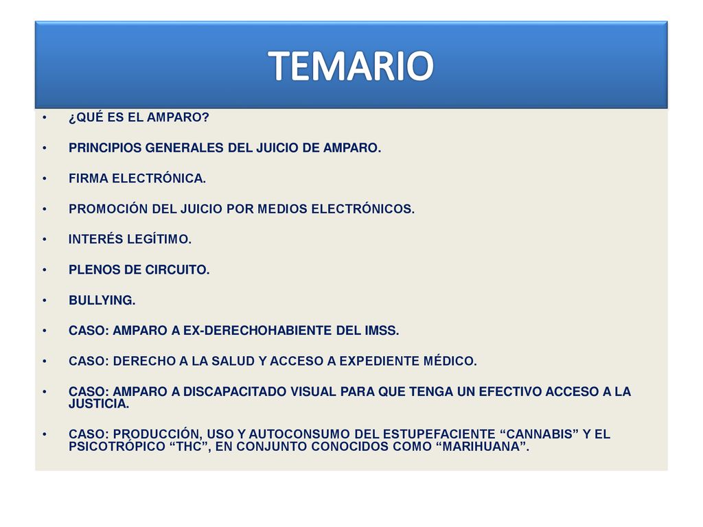 TEMARIO ¿QUÉ ES EL AMPARO PRINCIPIOS GENERALES DEL JUICIO DE AMPARO.