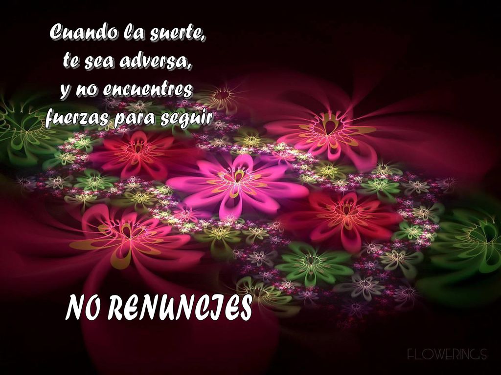 NO RENUNCIES Cuando la suerte, te sea adversa, y no encuentres